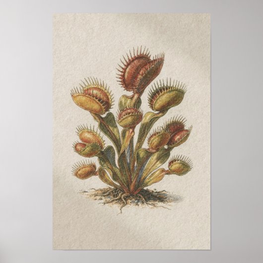 Venusfliegenfallen-Botanik-Studienposter Poster (Vorne)