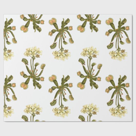 Venusflytrap-Blume Geschenkpapier (Flach)
