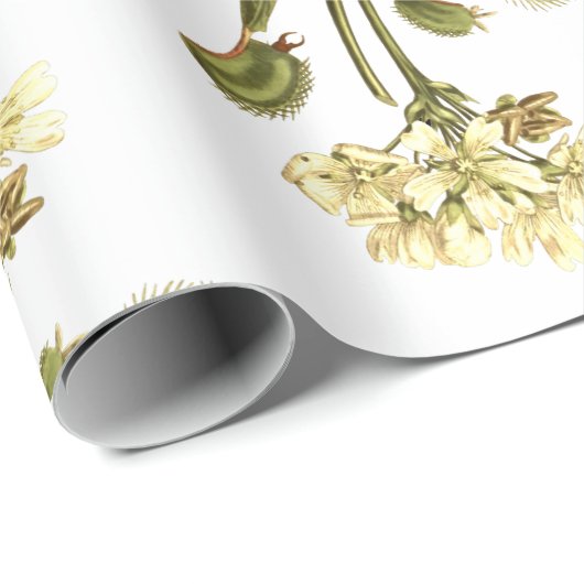 Venusflytrap-Blume Geschenkpapier (Rolleneckpunkt)