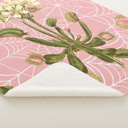 Venusflytrap Sherpadecke (3/4)