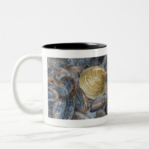 Venusmuscheln und Quahog-Schalen Zweifarbige Tasse