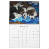 Vera und ihre Welpen Kalender (Feb 2027)