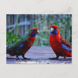 Verabred Postkarte