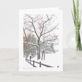 +Verabredungen in der Natur: Grußgröße Karte