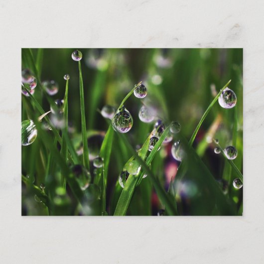 Veranda Reis Kinderzimmer Postkarte (Vorderseite)