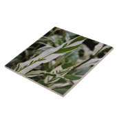 Veränderte Ingwer-Fliese Fliese (Seite)