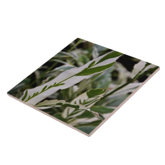 Veränderte Ingwer-Fliese Fliese (Seite)