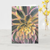 Veränderter Aeonium Karte (Gelbe Blume)