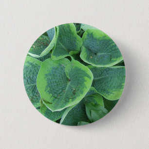 Veränderter Hosta-hellgrünes dunkelgrünes Blät Button