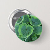 Veränderter Hosta-hellgrünes dunkelgrünes Blätter Button (Vorne & Hinten)