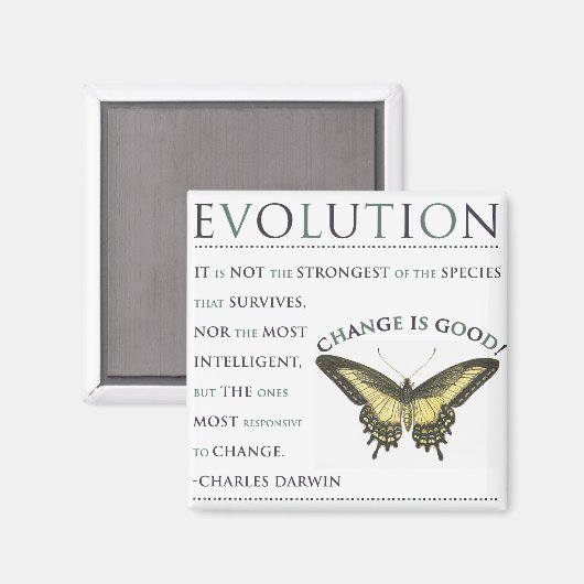 Veränderung der Evolution Magnet (Vorderseite/Rückseite)