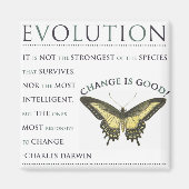 Veränderung der Evolution Magnet (Vorne)