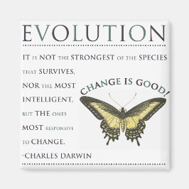 Veränderung der Evolution Magnet