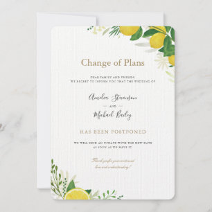 Veränderung der Pläne verschobene Hochzeitseinladu Ankündigung