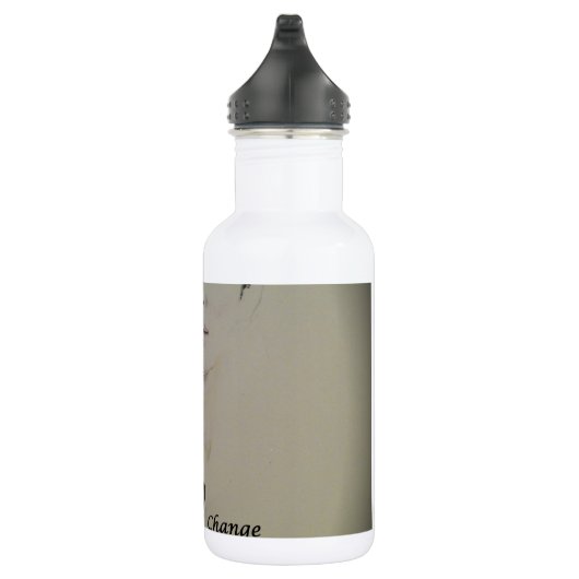 Veränderung ist nicht spektakulär Sport Art Print Edelstahlflasche (Rechts)