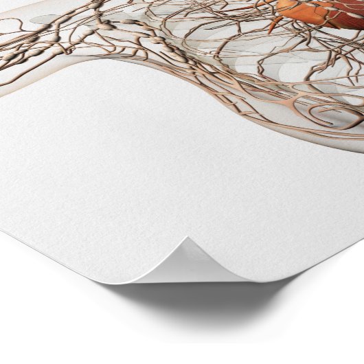 Veranschaulichung des Lymphsystems bei Frauen Poster (Ecke)