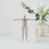 Veranschaulichung des Lymphsystems bei Frauen Postkarte (Stehend Vorderseite)
