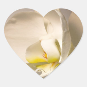 Veranstaltung "Wedding Hearts White Orchid Umschla Herz-Aufkleber
