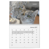 Veranstaltungskalender 2022 kalender (Jan 2027)