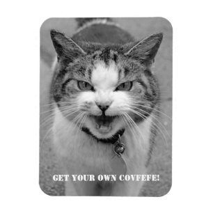 Verärgerte Katze "erhalten Ihr eigenes Covfefe!" Magnet
