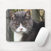 verärgerte Katze mousepads (Mit Mouse)