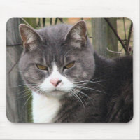 verärgerte Katze mousepads