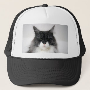 verärgerte Katze Truckerkappe