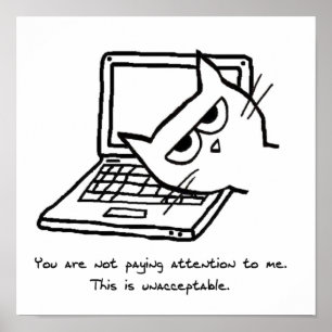 Verärgerte Katze verlangt Aufmerksamkeit - Poster