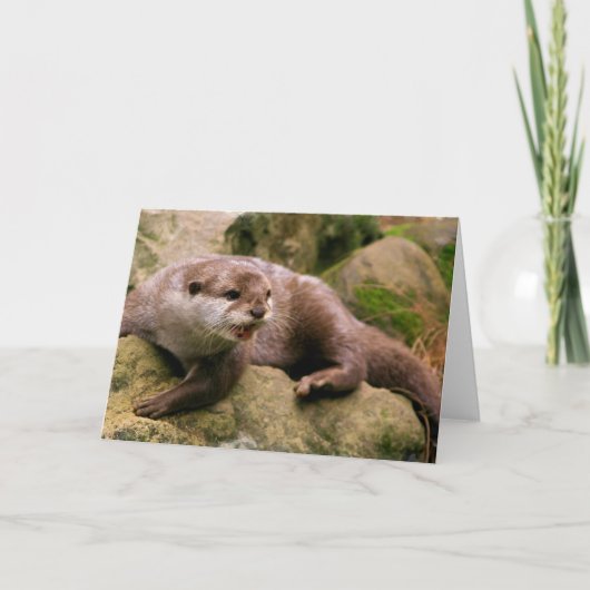 Verärgerte Otter-Gruß-Karten Karte (Vorderseite)