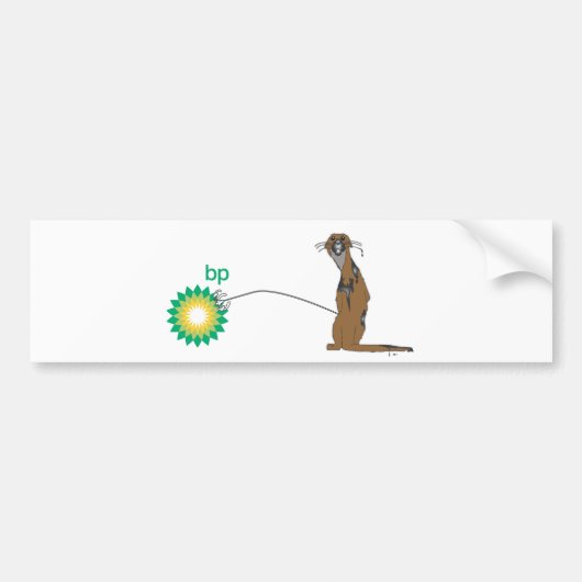 Verärgerter Otter Autoaufkleber (Vorne)