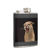 Verärgerter Puma Flachmann (Rechts)