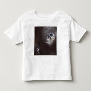 Veraschen Sie Flecke auf Russlands Shiveluch Kleinkind T-shirt