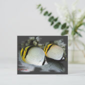 Verband Butterflyfish Life Partners Postkarte (Stehend Vorderseite)