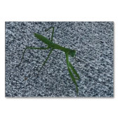 Verben, beten Mantis wandern, Flashcards lesen Tischnummer (Vorderseite)