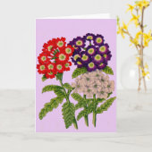Verbena-Blume drucken Karte (Gelbe Blume)