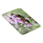Verbena Bonariensis Magnet (Rechte Seite)