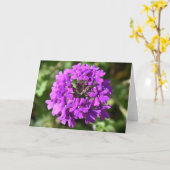 Verbena, Karte (Gelbe Blume)