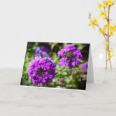 Verbena, Karte (Gelbe Blume)