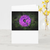 Verbena, Karte (Gelbe Blume)