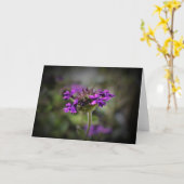 Verbena, Karte (Gelbe Blume)