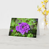 Verbena, Karte (Gelbe Blume)