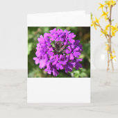 Verbena, Karte (Gelbe Blume)