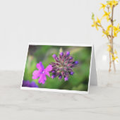 Verbena, Karte (Gelbe Blume)