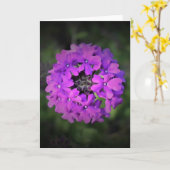 Verbena, Karte (Gelbe Blume)