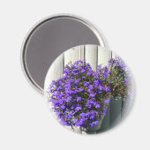 Verbena Magnet (Vorderseite/Rückseite)