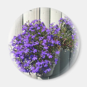 Verbena Magnet