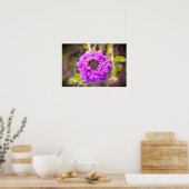 Verbena Poster (Küche)