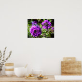 Verbena Poster (Küche)
