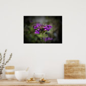 Verbena Poster (Küche)