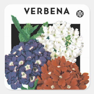 Verbena-Samenpackungsetikett Quadratischer Aufkleber